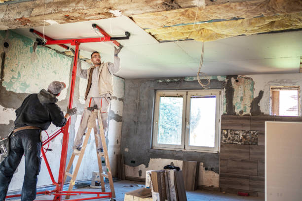 Best Types of Insulation in Barneveld, WI